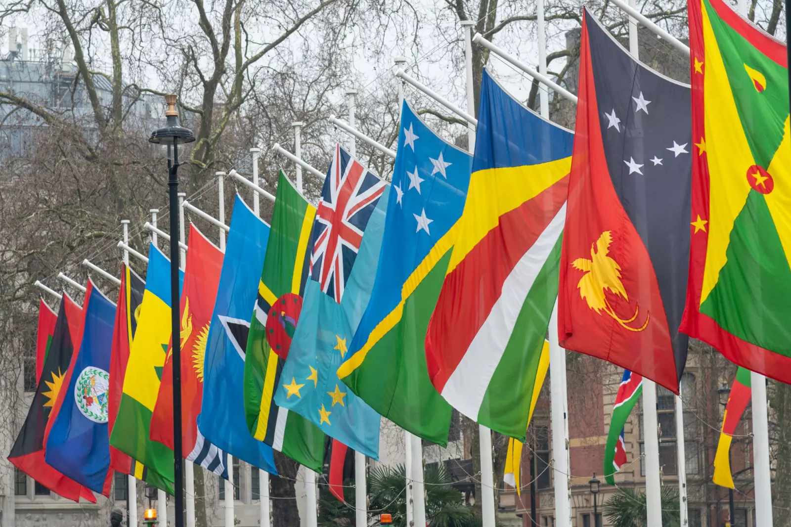 Flags of Commonwealth member countries